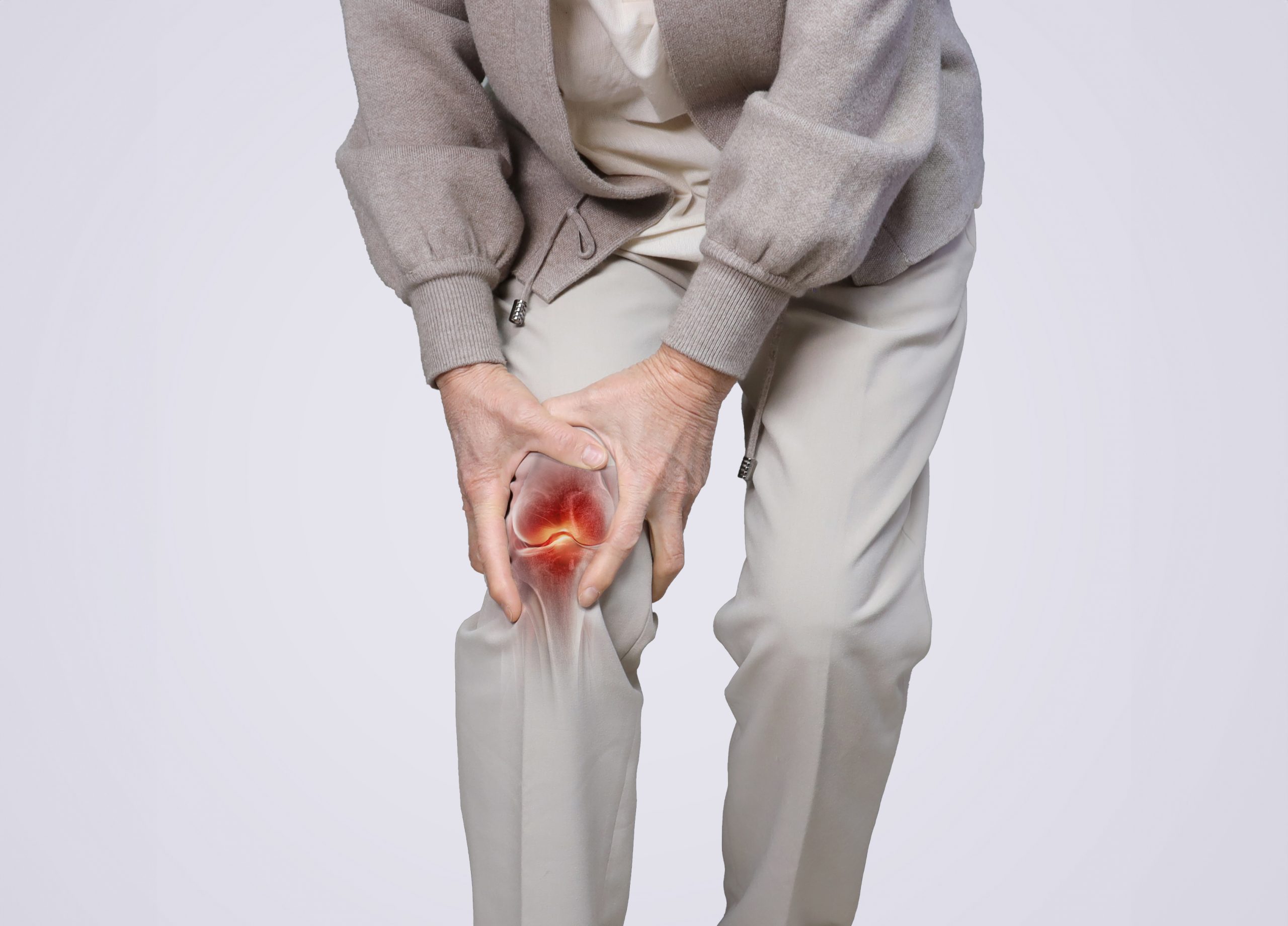 Meniscus scaled